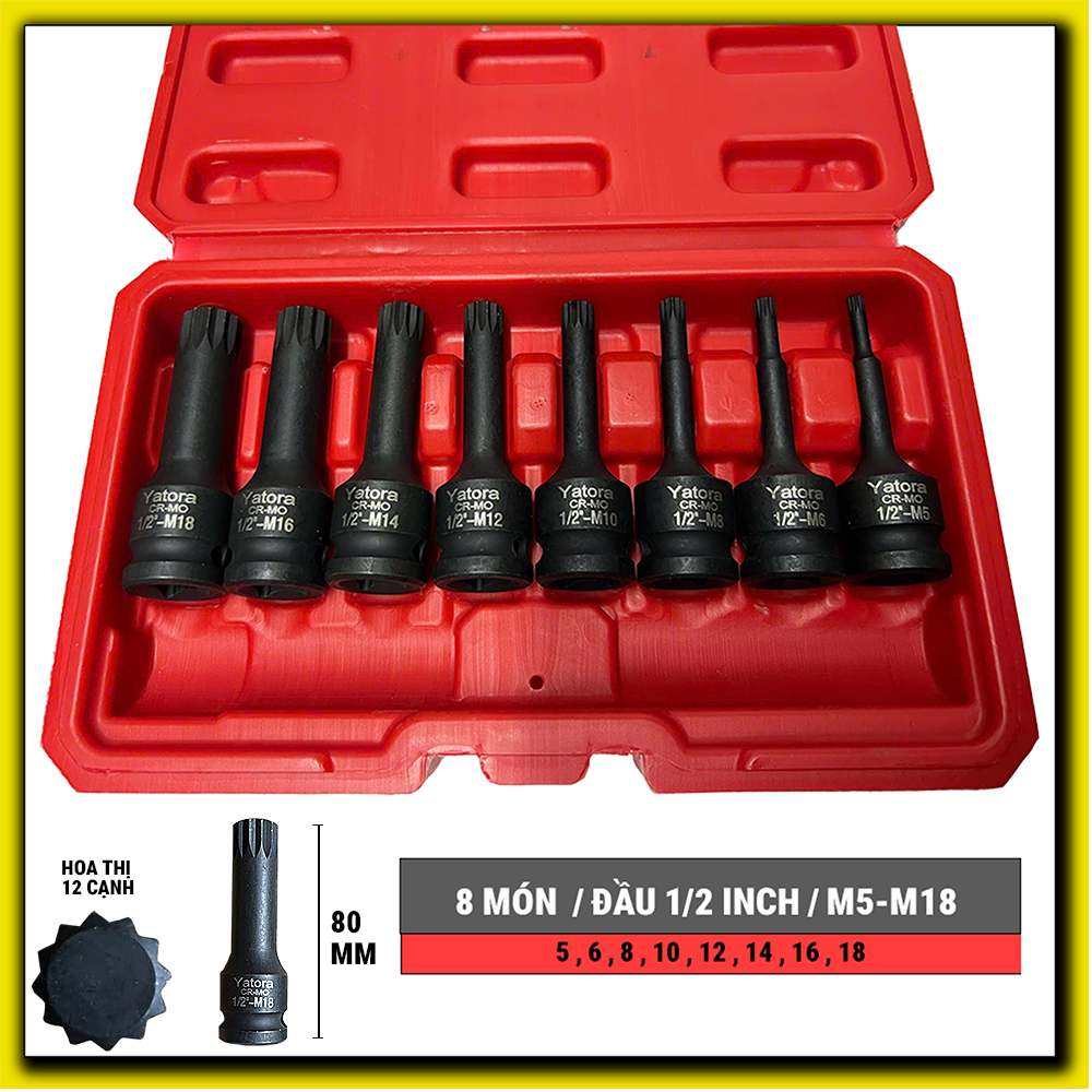 Bộ khẩu M hoa khế 1/2 inch 8 món