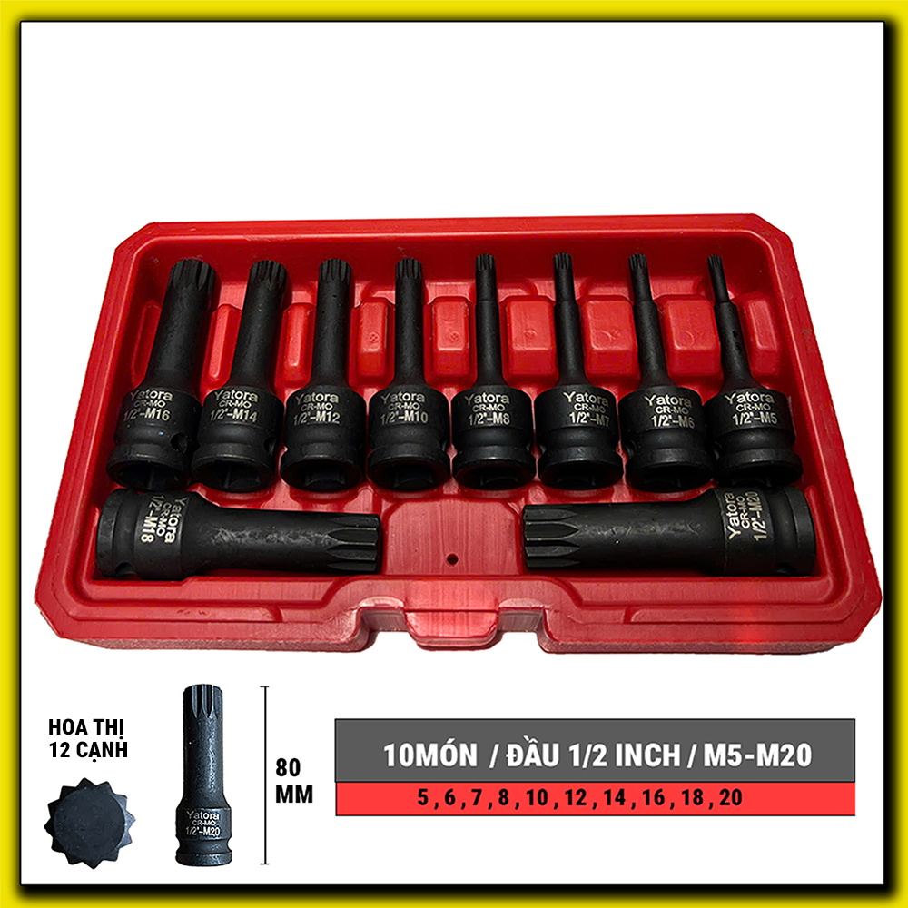 Bộ khẩu 10 món M5-M20